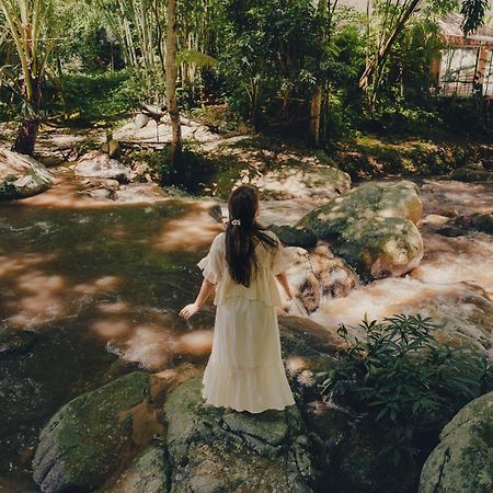 เดอะริเวอร์ แม่กำปอง The River Maekampong Chiang Mai Ban Pok Nai Zewnętrze zdjęcie