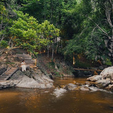 เดอะริเวอร์ แม่กำปอง The River Maekampong Chiang Mai Ban Pok Nai Zewnętrze zdjęcie